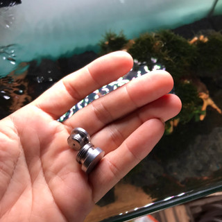 Bịt đầu in out inox phi 10-12-16-19