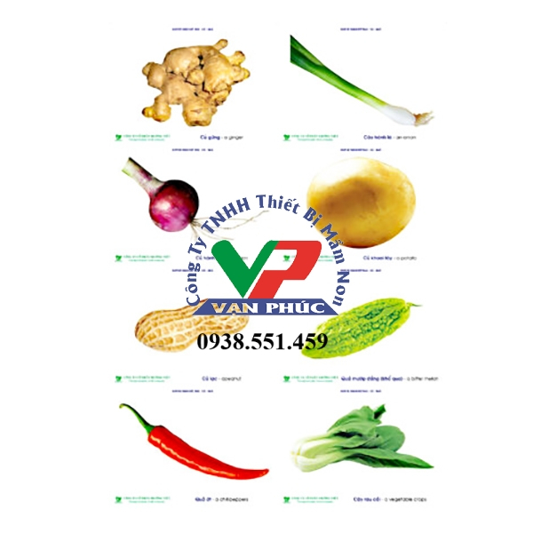 Tranh Rau, Củ, Qủa