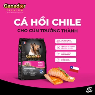 [petto house gò vấp] Combo 25 gói thức ăn cho chó trưởng thành Ganador salmon and rice 400g cá hồi và gạo chuẩn pháp