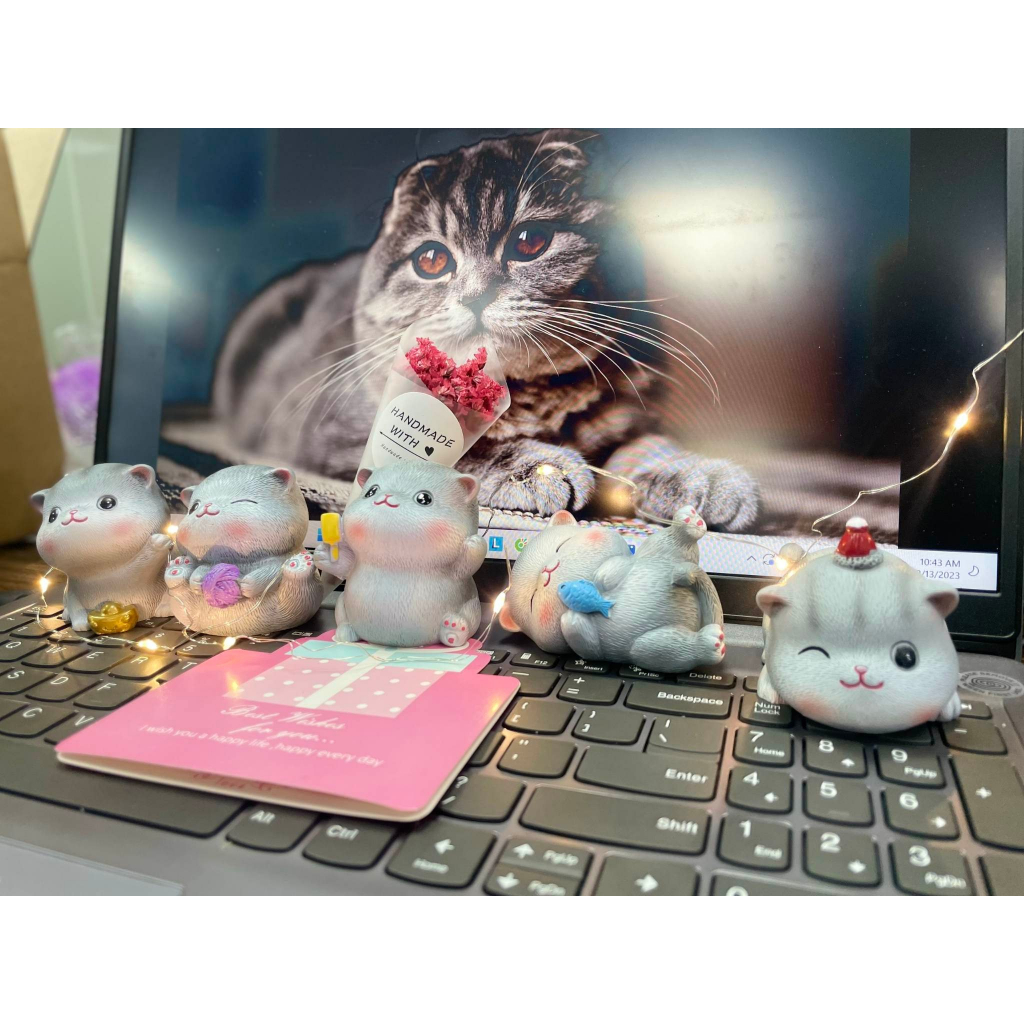 Mô hình mèo biểu cảm đáng yêu. Siêu cute làm quà tặng hoặc trang trí trưng bày