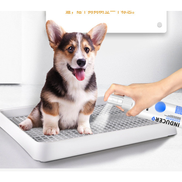 Chai xịt định vị nơi đi vệ sinh cho chó mèo (Lọ xịt hướng dẫn thú cưng đi vệ sinh đúng chỗ)