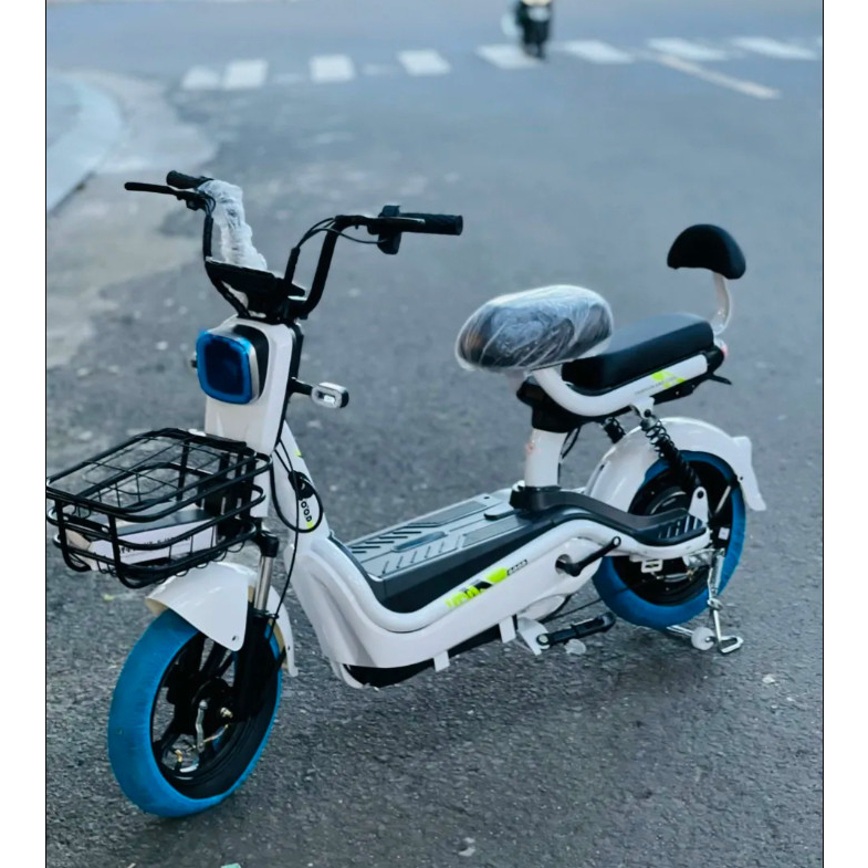 XE ĐẠP ĐIỆN NEWBER