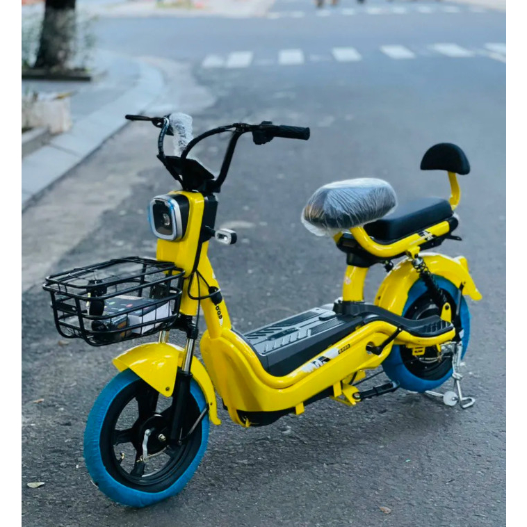 XE ĐẠP ĐIỆN NEWBER