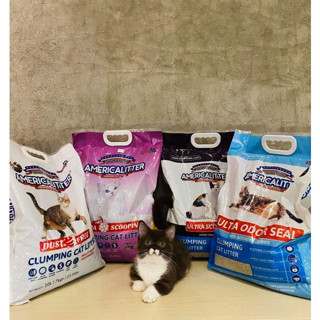 Cát vệ sinh cho mèo america litter 10l, cát mỹ sieu vón, siêu khử mùi