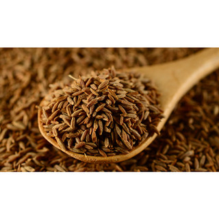HẠT THÌ LÀ CUMIN SEED