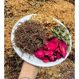 Trà SƠN MẬT HỒNG SÂM