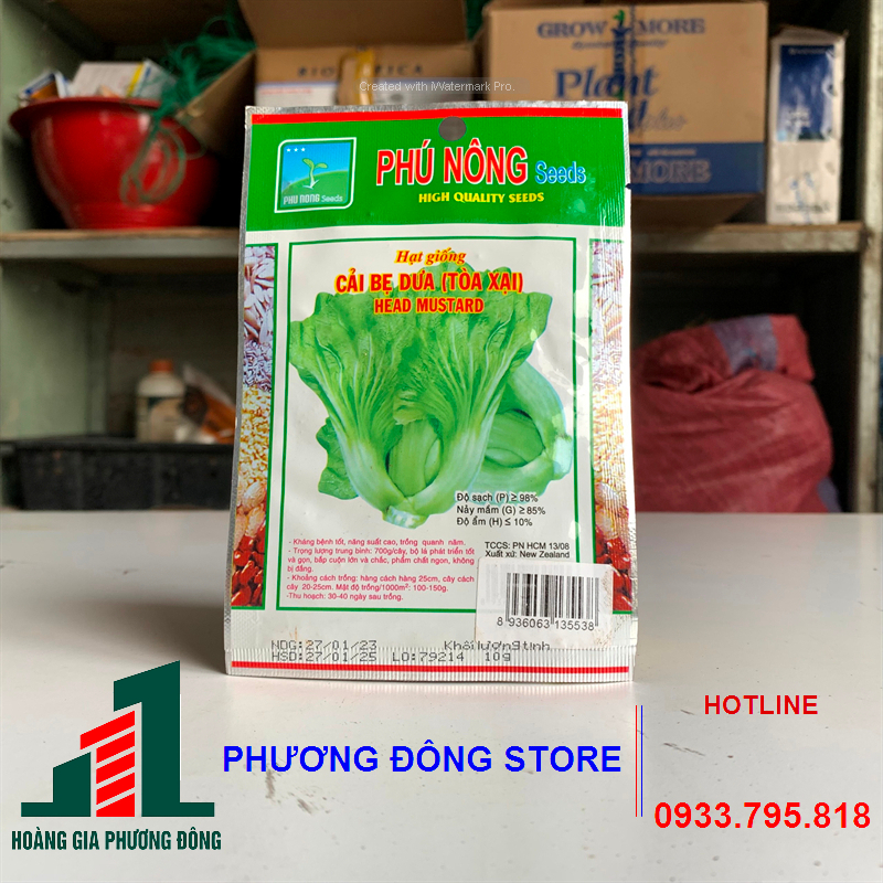 Hạt giống cải bẹ dưa 10g