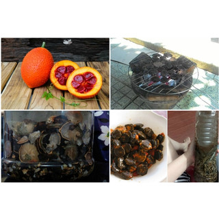 1kg Hạt gấc