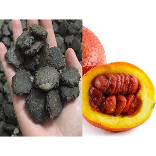 1kg Hạt gấc