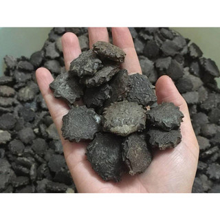 1kg Hạt gấc