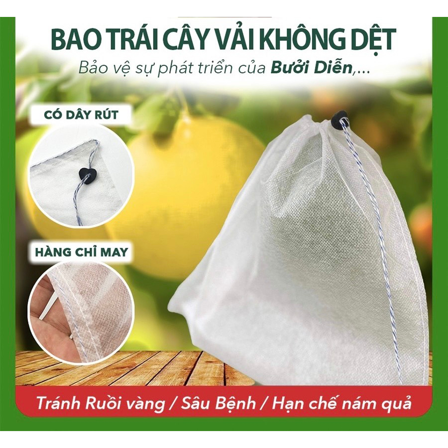 100 Túi 30x30cm Túi Bọc Trái Cây Bưởi Diễn