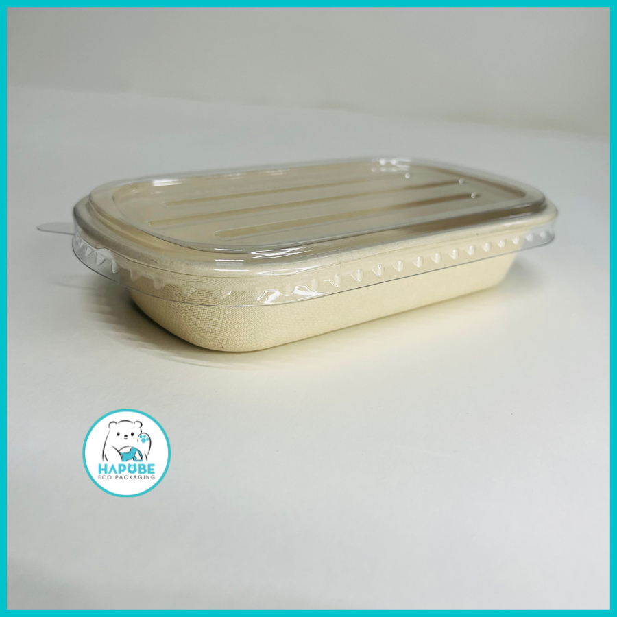 Combo 50 chiếc hộp bã mía oval 500ml BHZ019 có nắp