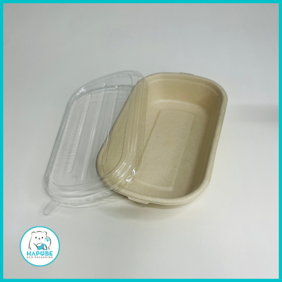 Combo 50 chiếc hộp bã mía oval 500ml BHZ019 có nắp