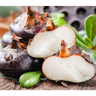 HẠT NỔ CỦ NĂNG MAOMAO 850GR (Lon)