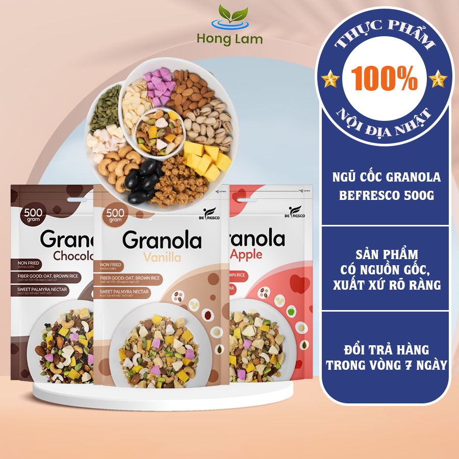 Ngũ Cốc Nướng Phồng Ăn Kiêng Mix Sữa Chua Sấy BEFRESCO 500g