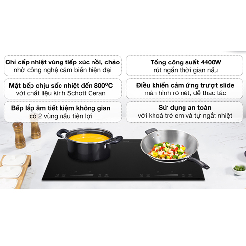 Bếp từ đôi Iruka I-22