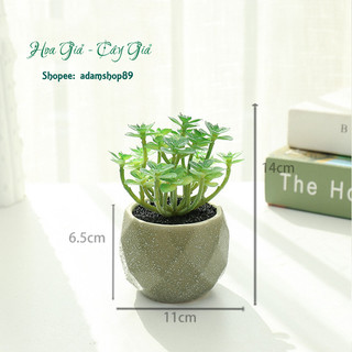 Sen đá giả chậu sứ xanh trang trí decor (cả cây và chậu)