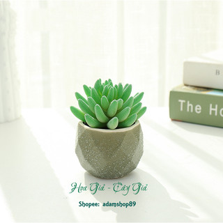 Sen đá giả chậu sứ xanh trang trí decor (cả cây và chậu)