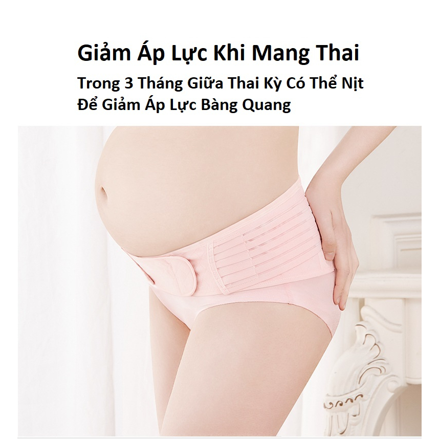 Đai nâng đỡ bụng bầu giảm đau lưng rạn bụng EVAJOY