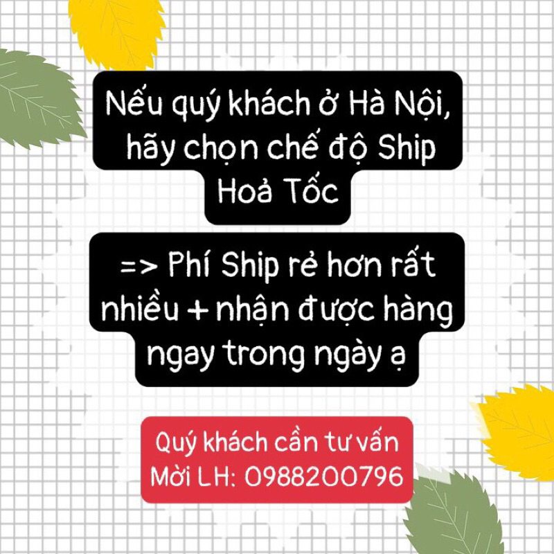 Bộ bàn ghế mây sò tự nhiên nhỏ gọn, tiện lợi phù hợp bộ cafe/ Ban công gia đình/ Homestay