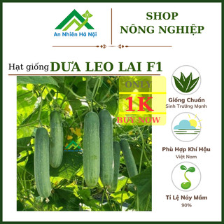 10 hạt giống dưa leo - dưa chuột f1 dễ trồng, ngọt giòn