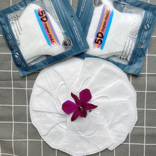 Thùng 100 Chiếc Khẩu Trang 5D Thịnh Phát Người Lớn