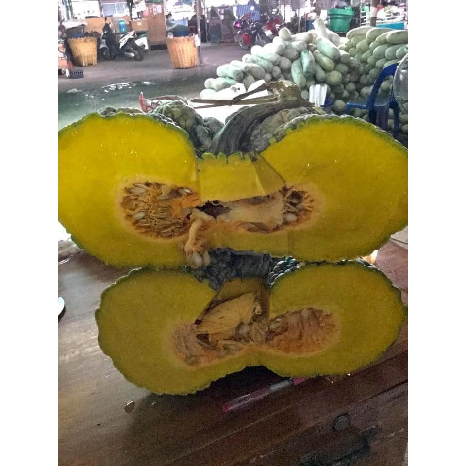 35 HẠT GIỐNG BÍ NGÔ DA CÓC VỎ HOA SIÊU NGỌT