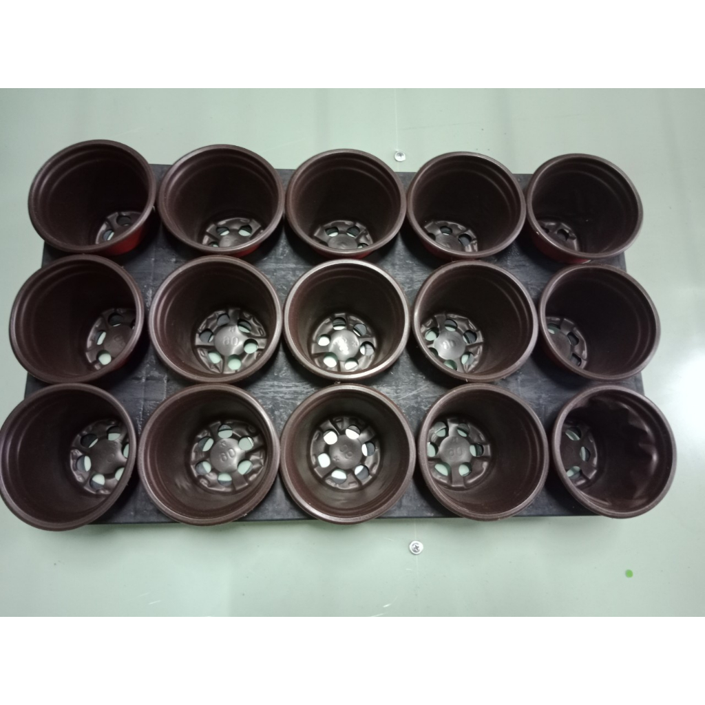 Bộ 1 giá đỡ 15 lỗ kèm 15 cốc ươm cây 9*9 cm siêu bền