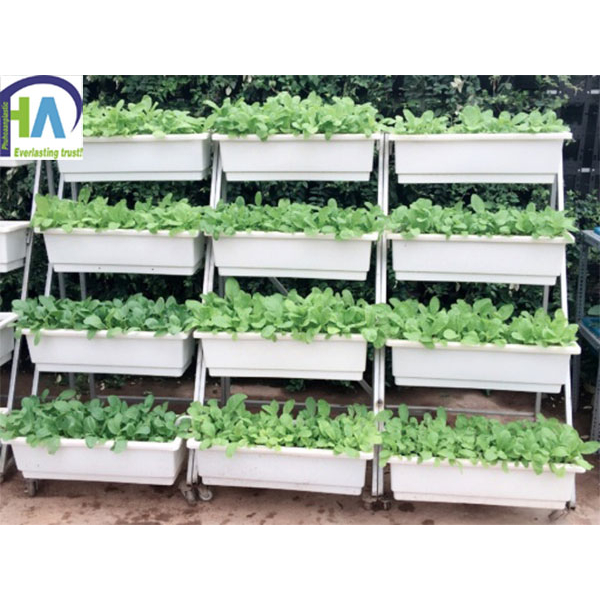 Khay Nhựa Thông Minh Trồng Rau Sạch - Rau Mầm - Trồng Hoa Trang Trí Sân Vườn KT 50cm*18cm*15cm