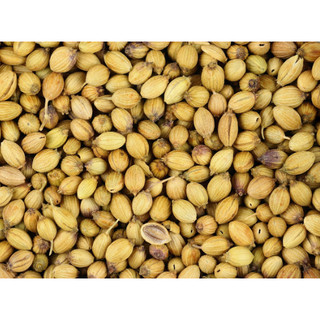 HẠT NGÒ CORIANDER SEED