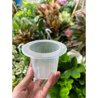 Rọ nhựa trồng cây cảnh thuỷ sinh