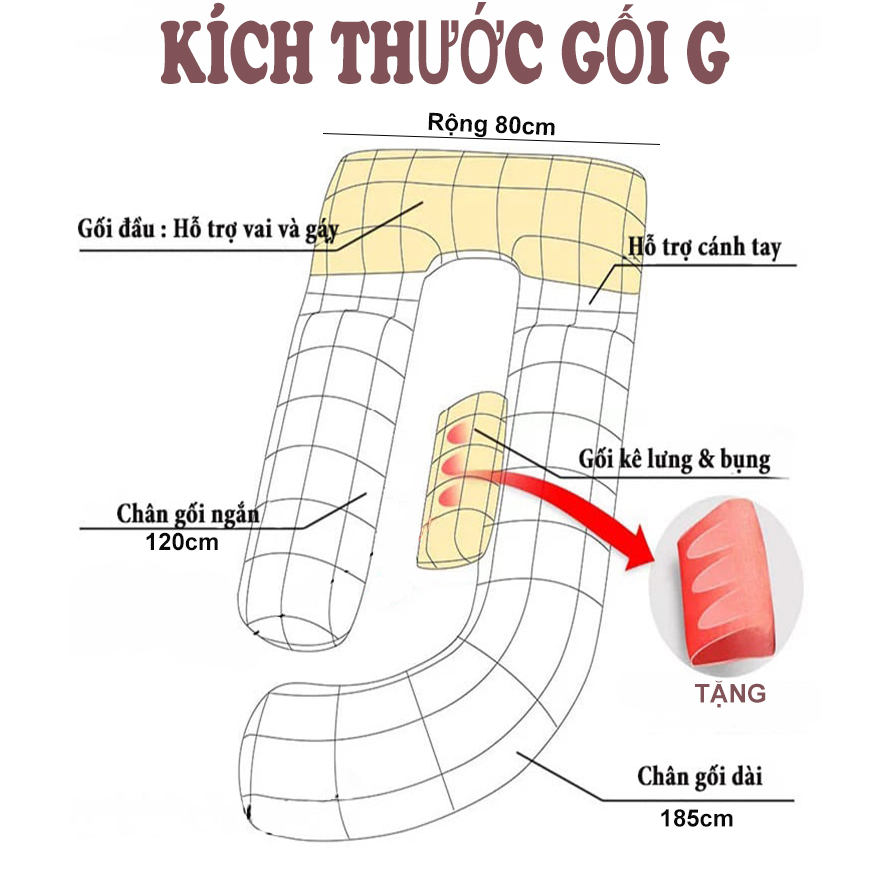 Gối Bầu G ZCARE, Hỗ Trợ Lưng Và Bụng Bầu l GB19