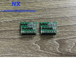 Cặp bo Nes và Pos dùng sữa chữa amply Class TD Labruppen FP serries
