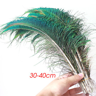 Lông chim công phong thủy dùng để trang trí dài 25-30cm