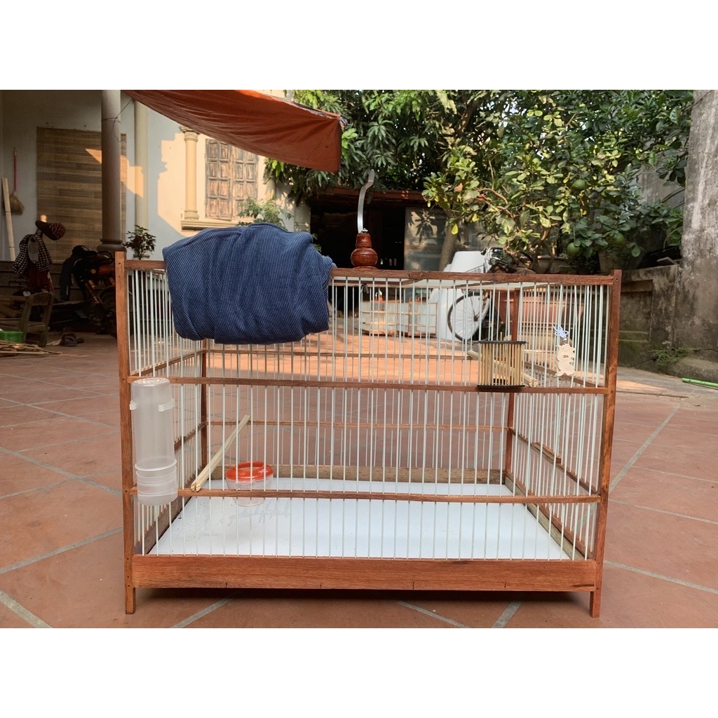 Khung lồng lực tự ráp dài 60 cm cho chim chào mào, chích chòe Trúc, Tre già xử lý, hãng kỹ cao cấp