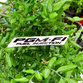 Tem Decal PGM-Fi Trong Suốt