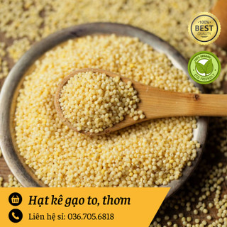 Hạt kê nếp vàng dẻo, to, đẹp