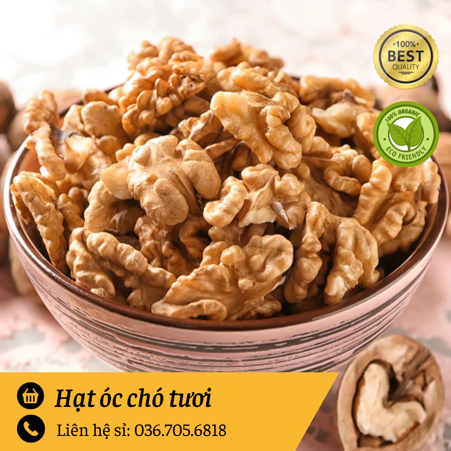 Hạt Óc Chó Tươi Làm Sữa Chuẩn Organic