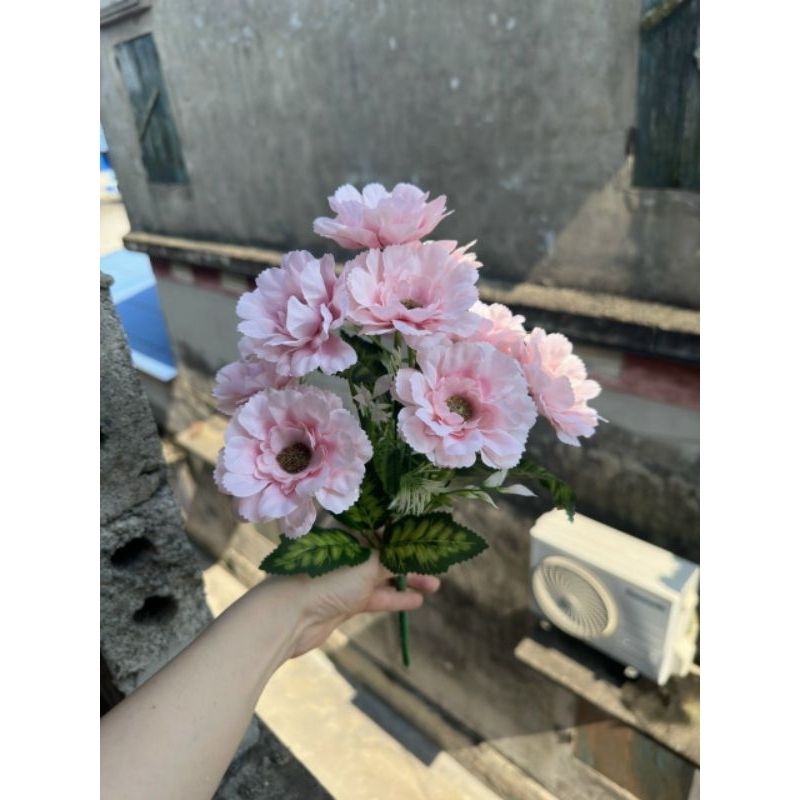 Cụm Cúc Bướm 10 bông cao cấp