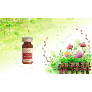 Tinh chất tế bào gốc REGECELL - phục hồi da
