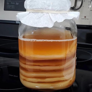 Scoby con giống làm trà kombucha (có kèm nước mồi)