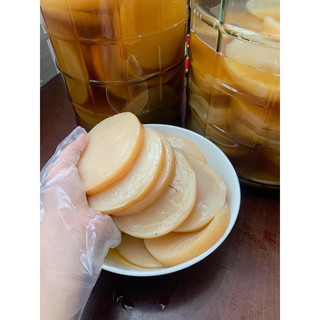 Scoby con giống làm trà kombucha