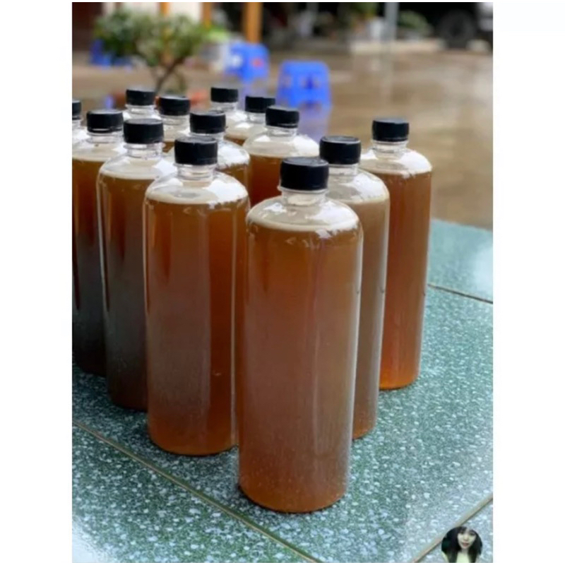 KOMBUCHA-Trà lên men vi sinh chứa probiotics giúp bảo vệ sức khoẻ