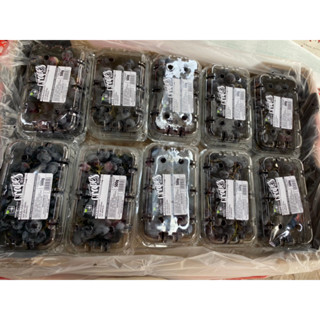 1 thùng nho đen Nam Phi 10 hộp 5kg