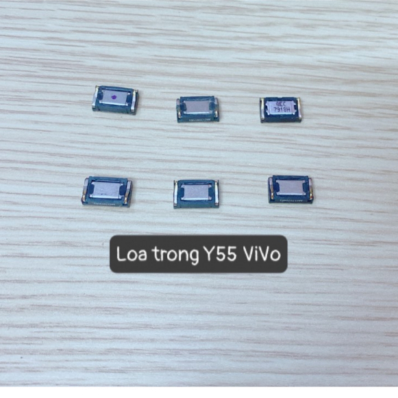 Loa Trong Y55 ViVo