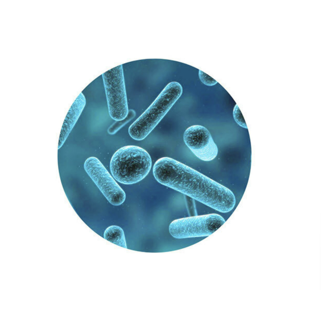 Nước cân bằng lợi khuẩn ILDONG Firstlab Probiotic Ultra Facial Toner 300ml