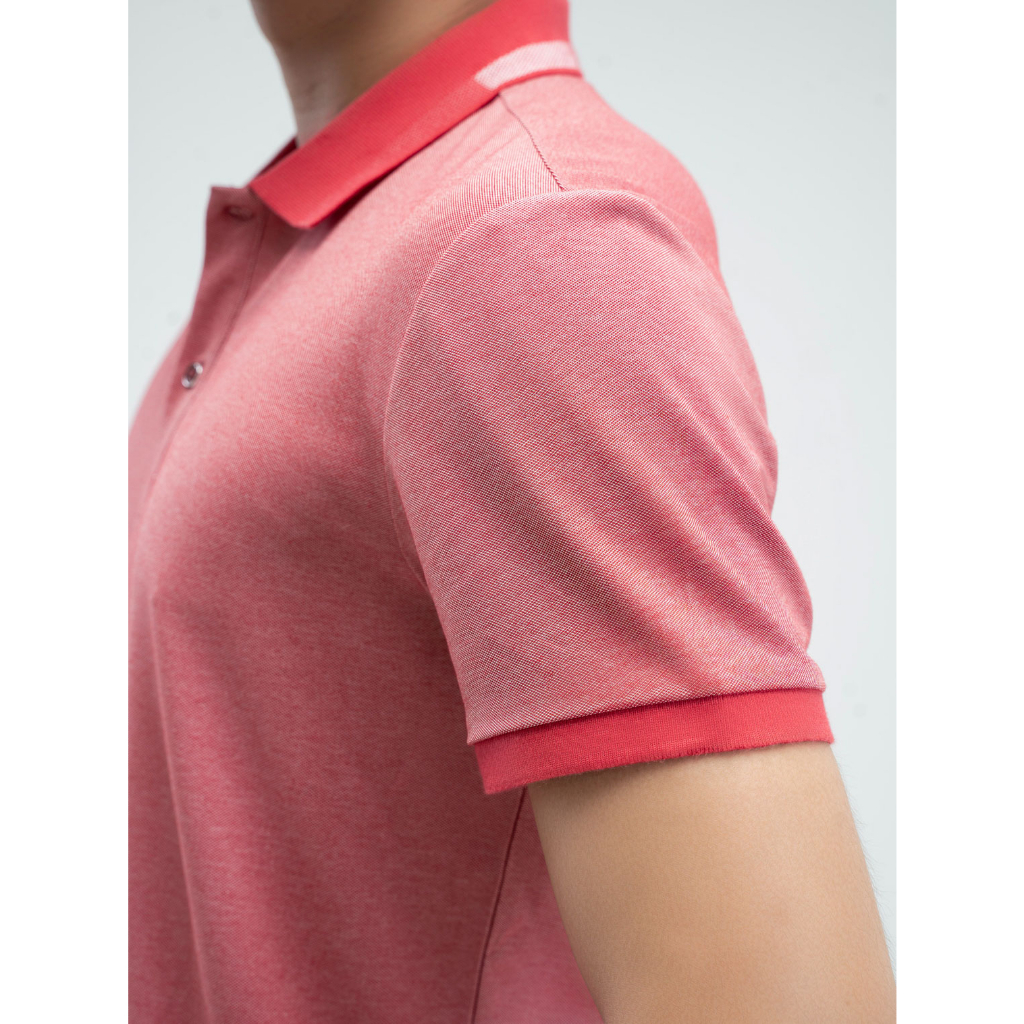 Áo phông nam Yody chất liệu cotton mắt chim mềm mại thoáng mát  BỔ SUNG - APM3299