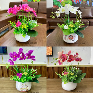 Chậu hoa lan hồ điệp cao cấp - Hoa giả trang trí, để bàn