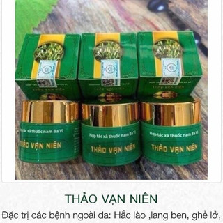 Thảo Vạn Niên Lý Thị Mai