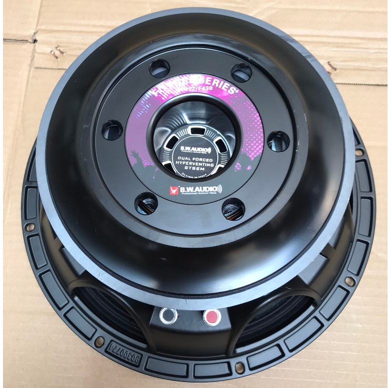 CỦ LOA BASS 30 COIL 100 TỪ 200 - 8Ohm HÀNG NHẬP KHẨU CHÍNH HÃNG BW AUDIO